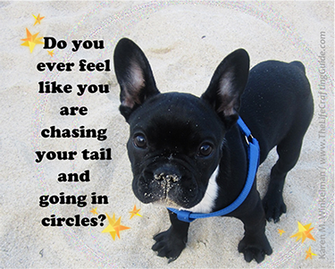 Black dog on the sand with the words "Do you ever feel like you are chasing your tail?"