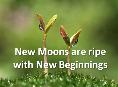 New Moons1